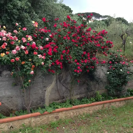 Santa Lucia 度假居 *